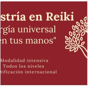 mejores-cursos-en-espanol-Maestria-en-Reiki-Profesional-4-niveles